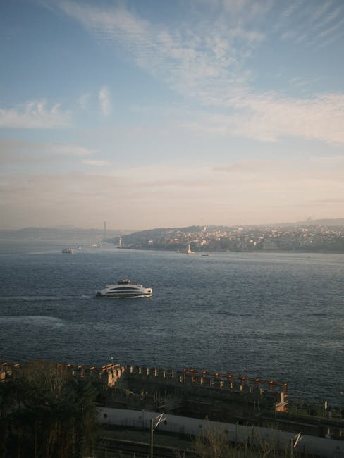 Wózki transportowe wędkarskie – ułatw sobie transport sprzętu