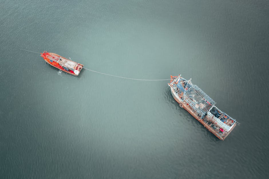 Wędki gruntowe na dalekie dystanse – jak wybrać