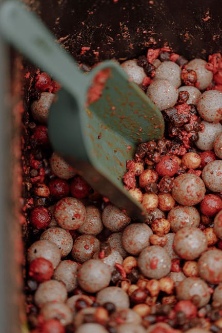 Zanęty karpiowe – jak wybrać najlepsze