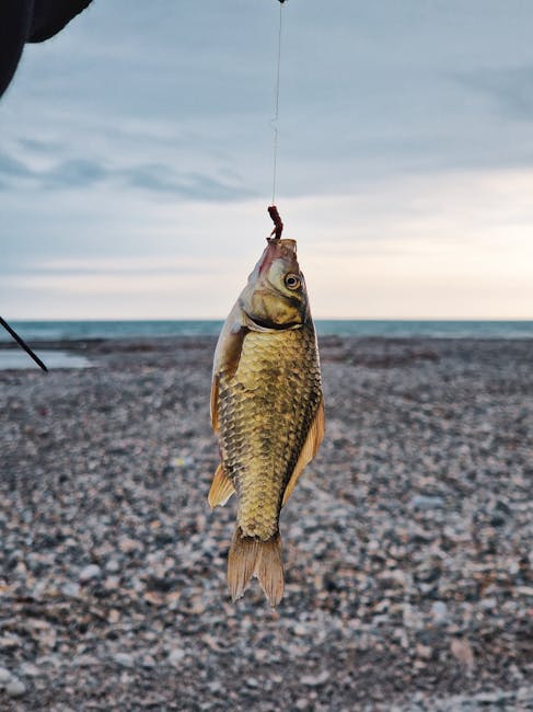 Liderzy karpiowe – jak chronić żyłkę główną